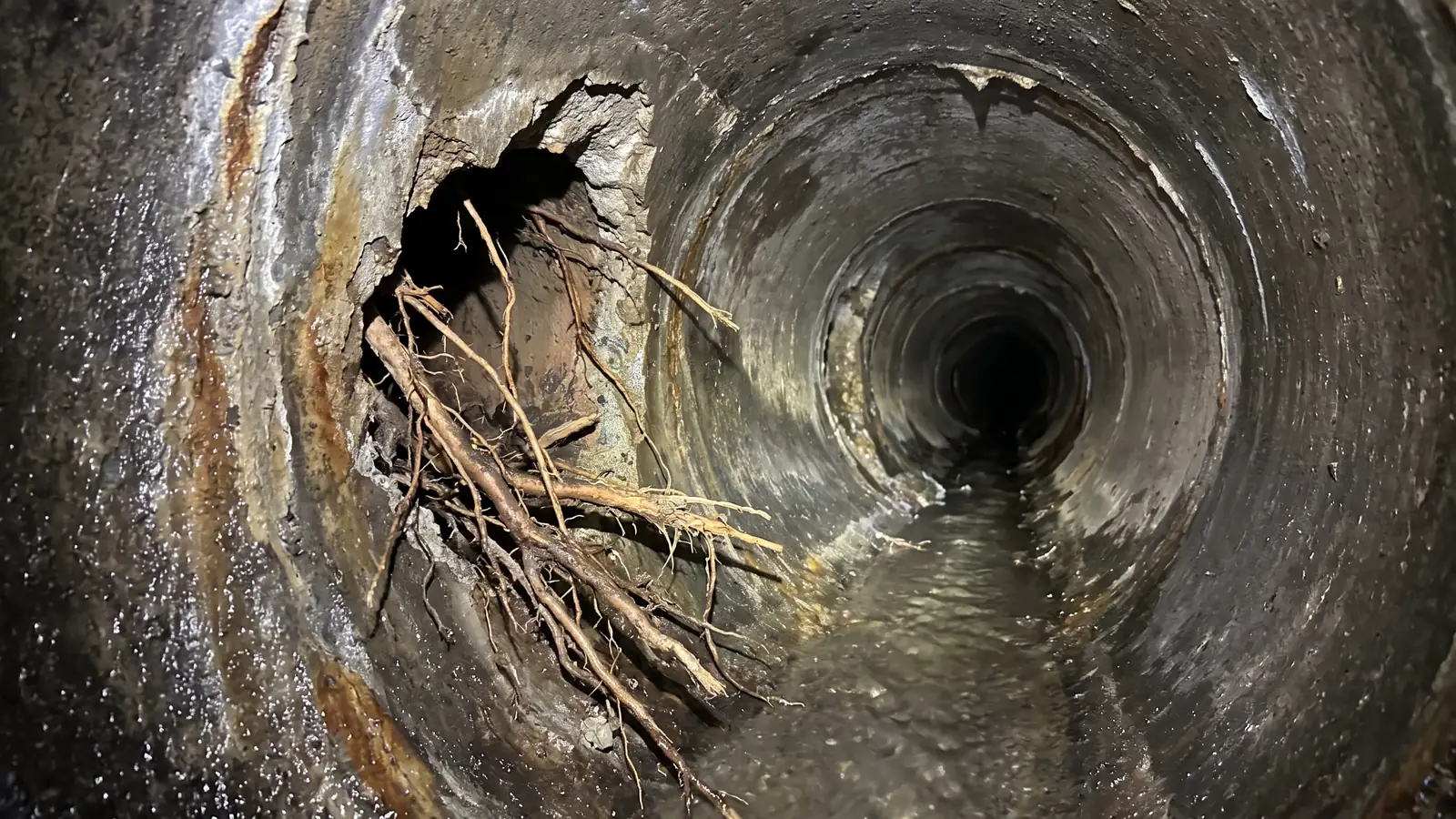 Before: a side connection with roots and rough broken edges